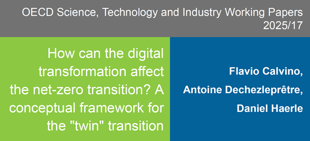 Cum poate transformarea digitală să afecteze tranziția către zero-emisii de carbon? Un cadru conceptual pentru tranziția „geamănă” 